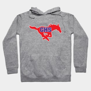 Grapevine High School Hoodie